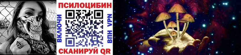 даркнет какой сайт  Кольчугино  кракен как зайти  Галлюциногенные грибы прущие грибы  где купить  